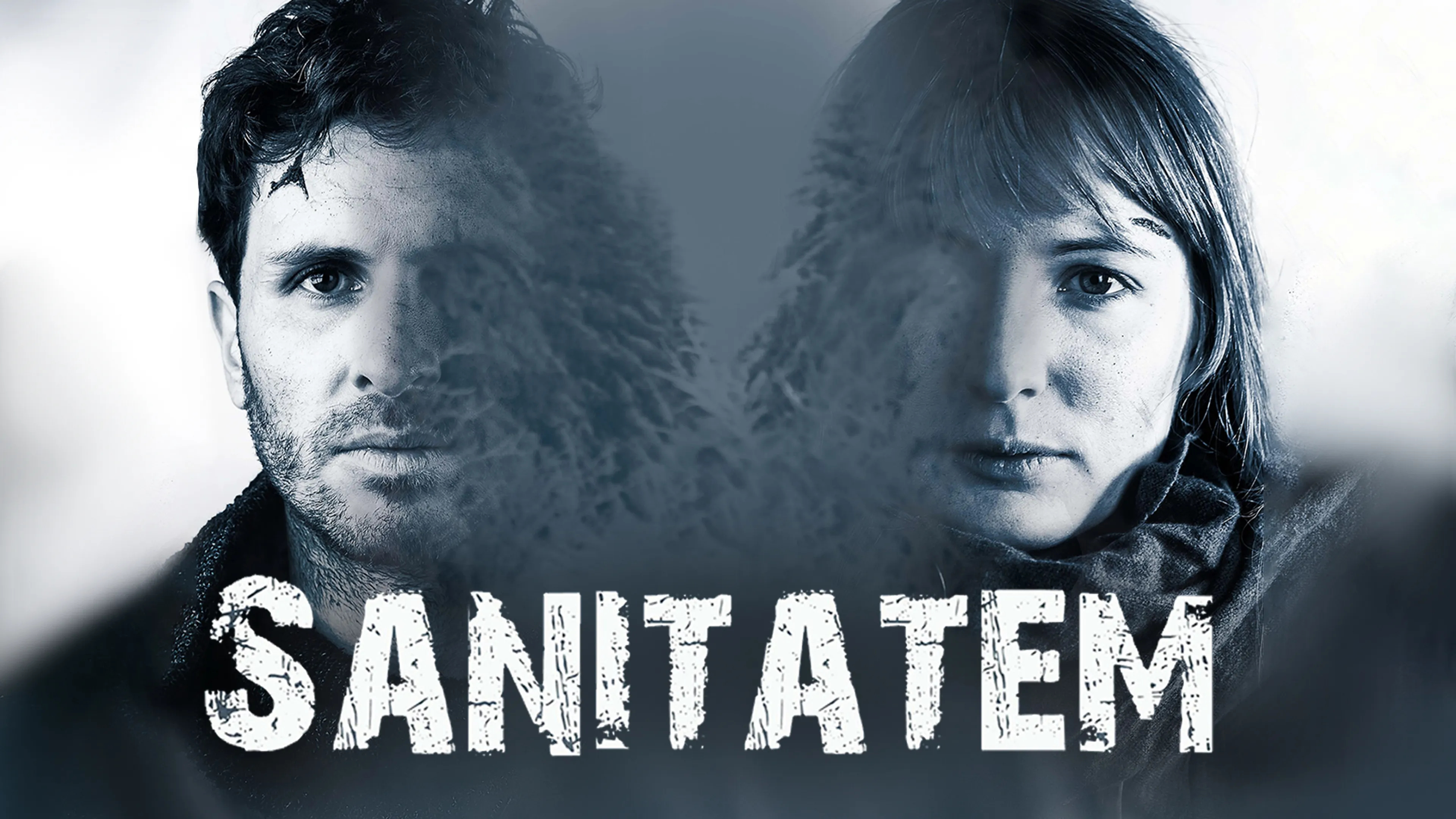 Sanitatem poster